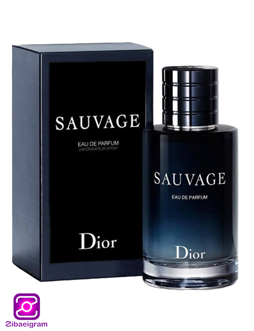 -ادکلن-دیور-ساواج-ادو-پرفیوم-Dior-Sauvage-Eau-de-Parfum