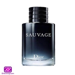 عطر ادکلن دیور ساواج ساواژ Dior Sauvage (100 میل)